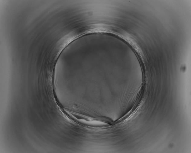 X0000097991337200804211054