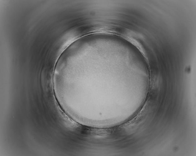 X0000097991338200804211054