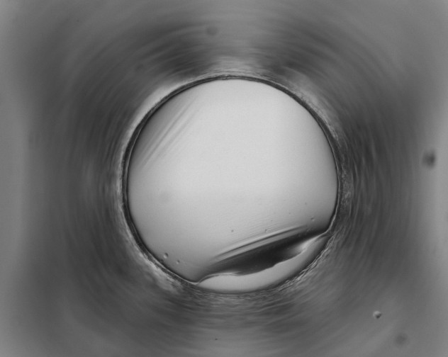 X0000097991339200804211054