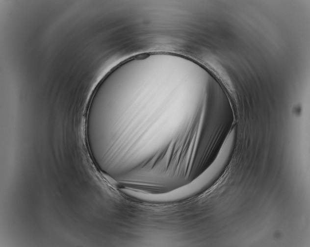 X0000097991340200804211054