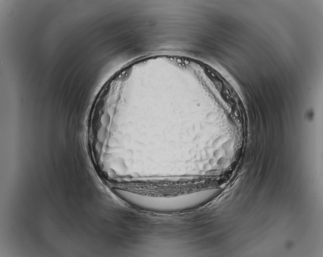 X0000097991341200804211054