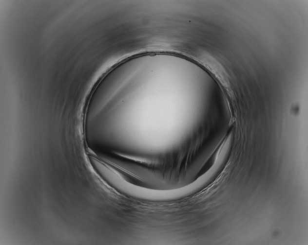 X0000097991342200804211054