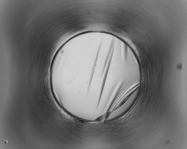 X0000097991343200804211054