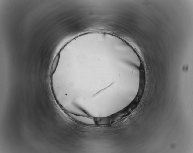 X0000097991344200804211054