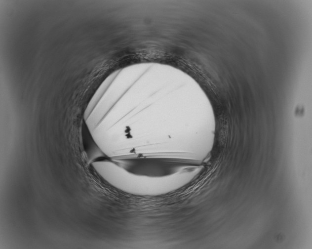 X0000097991345200804211053