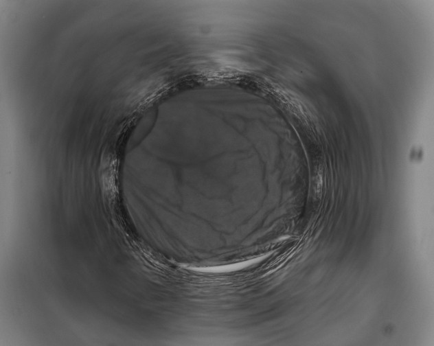 X0000097991346200804211053