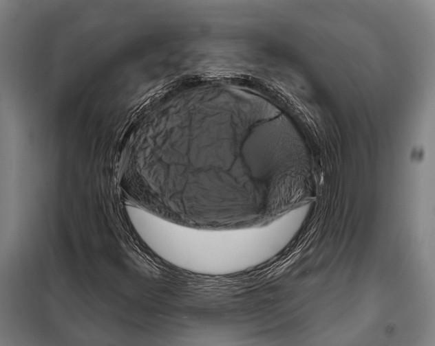 X0000097991348200804211053