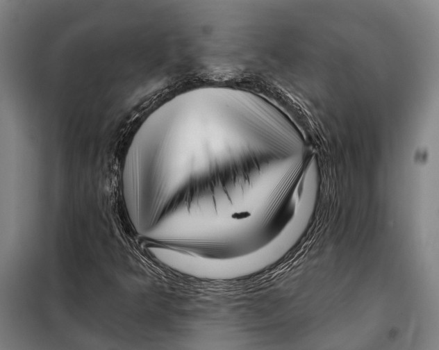 X0000097991349200804211053