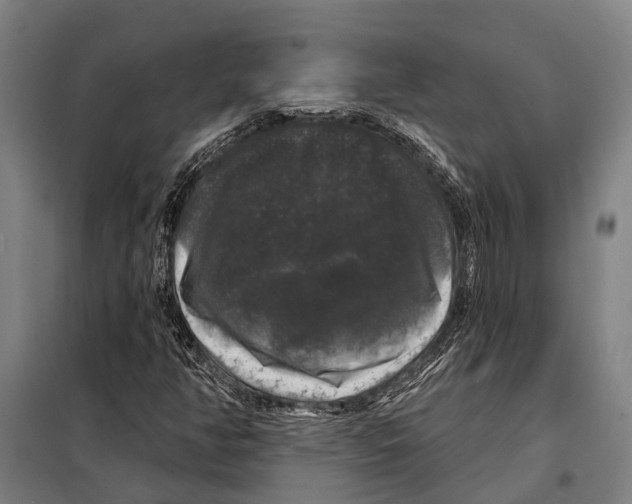 X0000097991350200804211053