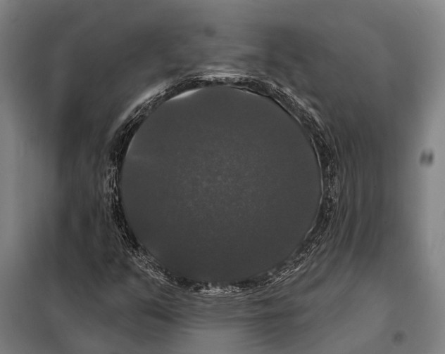 X0000097991351200804211053