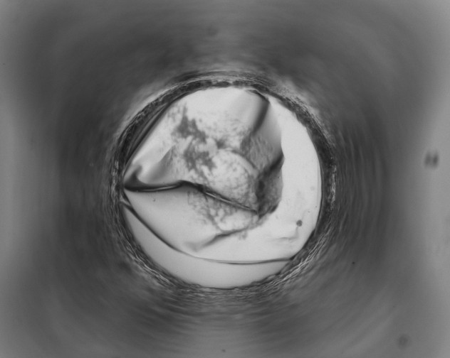 X0000097991352200804211053