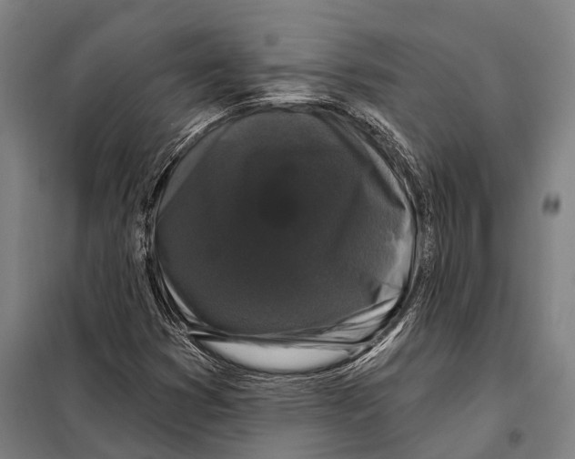 X0000097991353200804211053