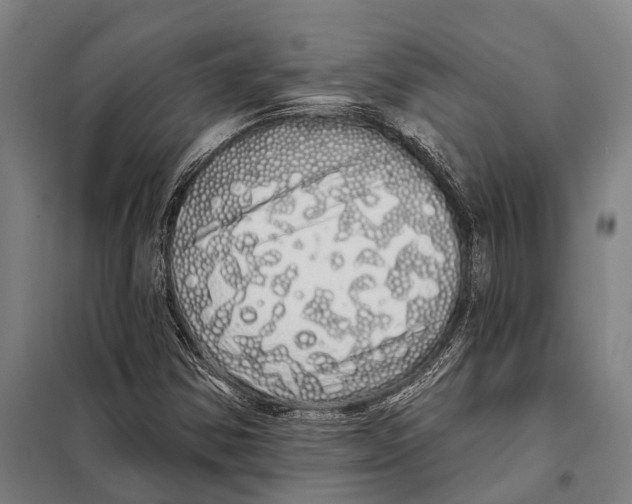 X0000097991354200804211053