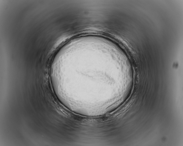 X0000097991355200804211053