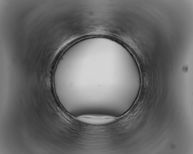 X0000097991356200804211053