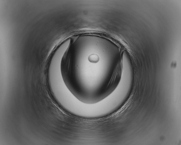 X0000097991357200804211053