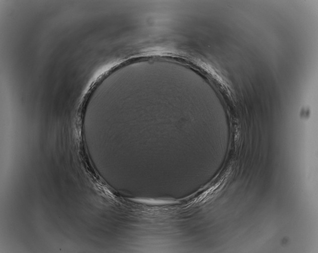 X0000097991358200804211053