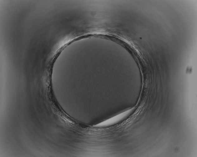 X0000097991359200804211053