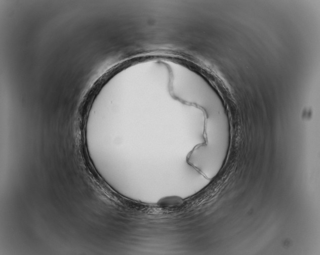 X0000097991360200804211053