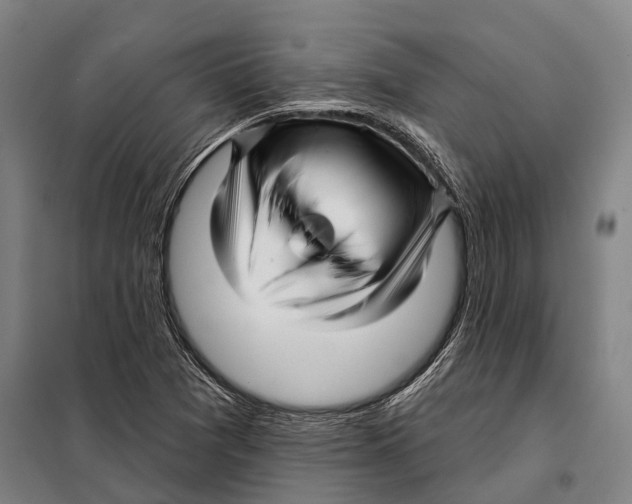 X0000097991361200804211053