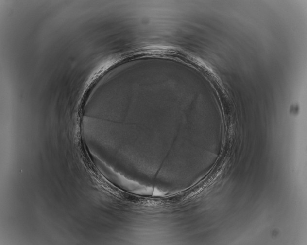 X0000097991362200804211053