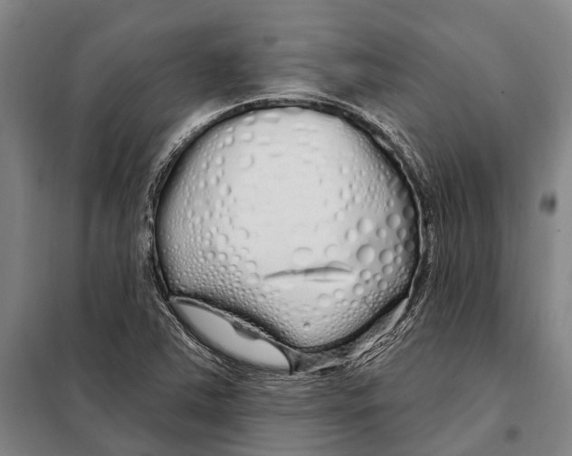 X0000097991363200804211053