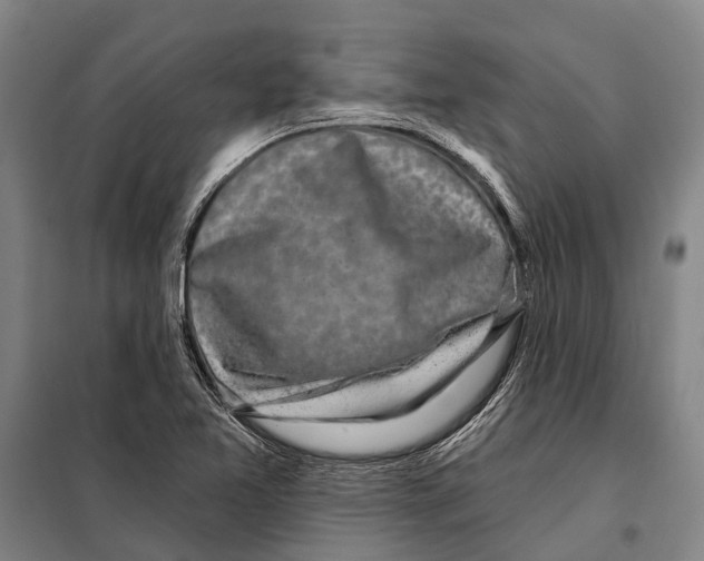 X0000097991365200804211053