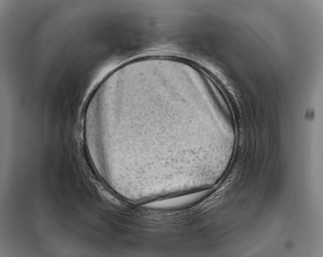 X0000097991366200804211053