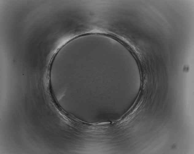 X0000097991367200804211053