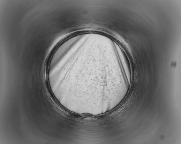 X0000097991368200804211053