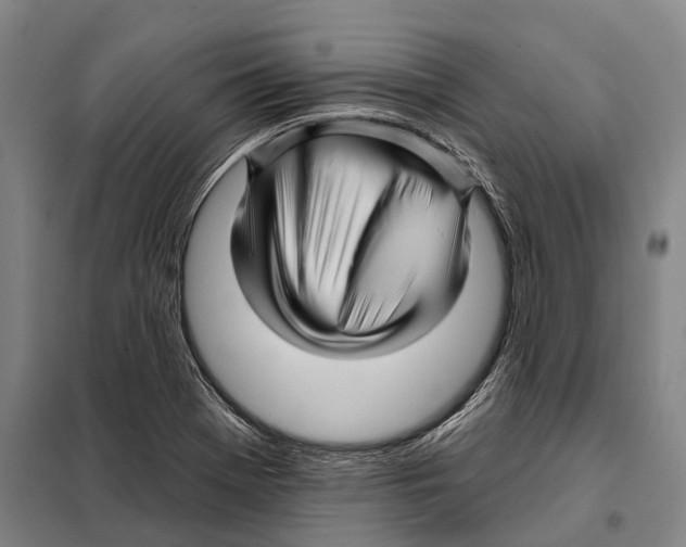 X0000097991369200804211053