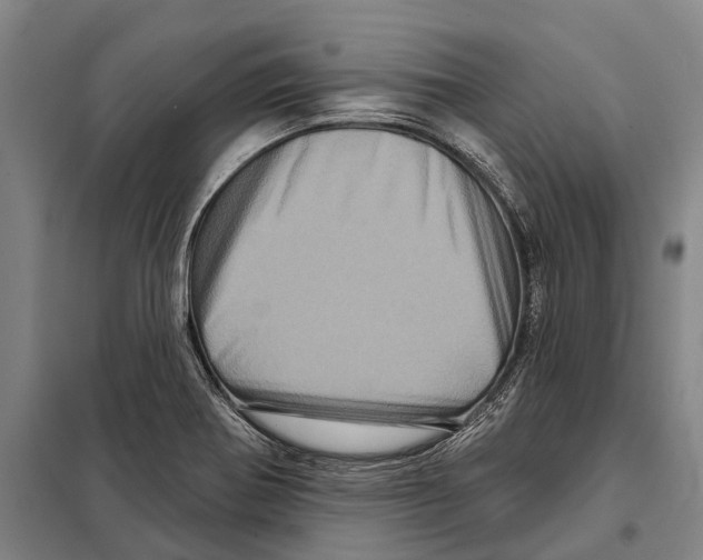 X0000097991370200804211053