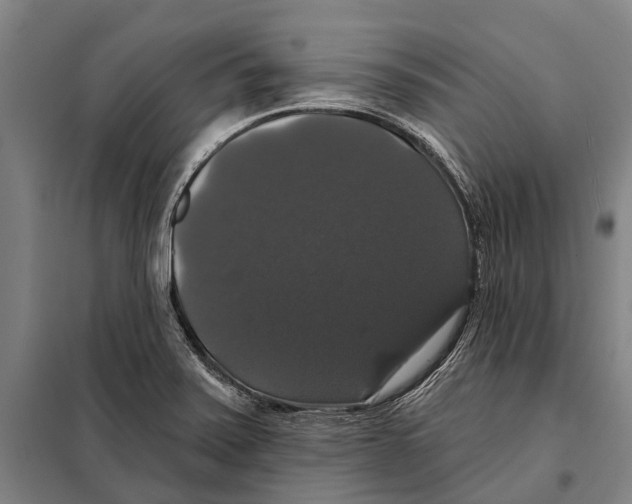 X0000097991371200804211053