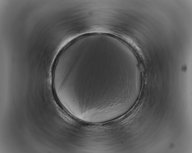 X0000097991372200804211053