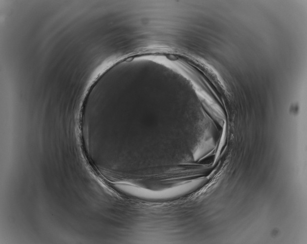 X0000097991373200804211053