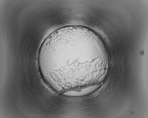 X0000097991374200804211052