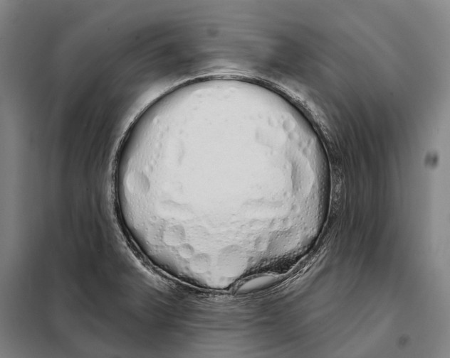 X0000097991375200804211052