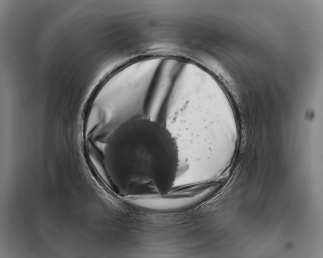 X0000097991376200804211052