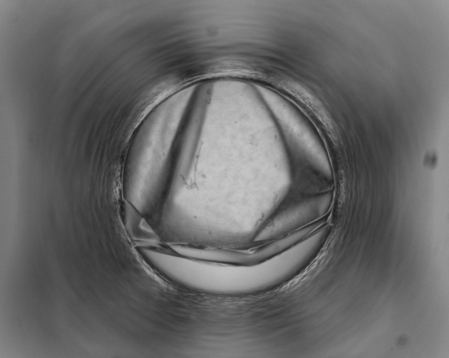 X0000097991377200804211052