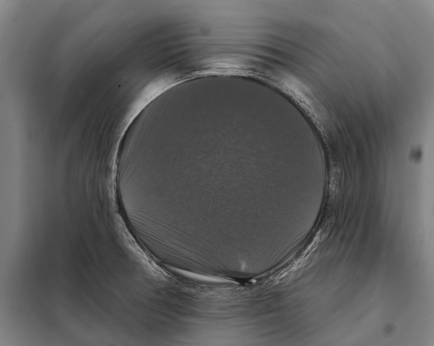 X0000097991378200804211052