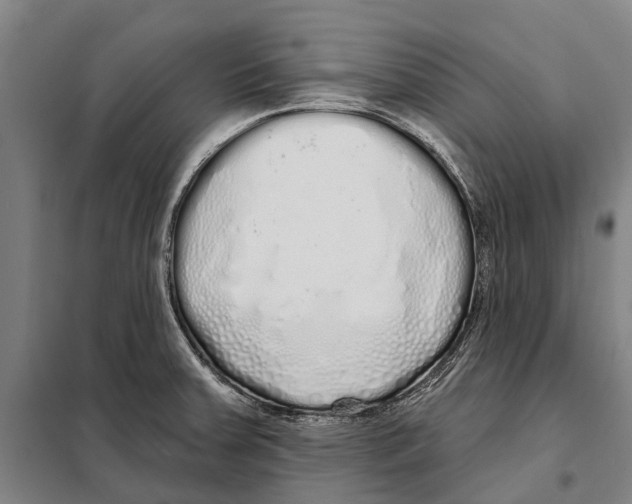 X0000097991379200804211052