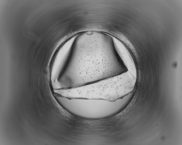 X0000097991380200804211052