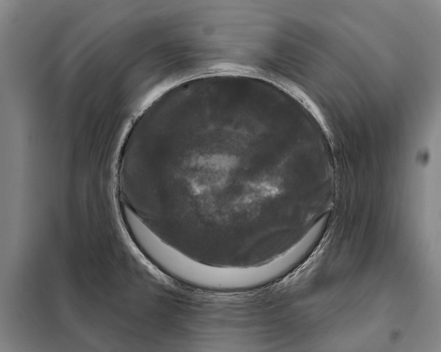 X0000097991381200804211052