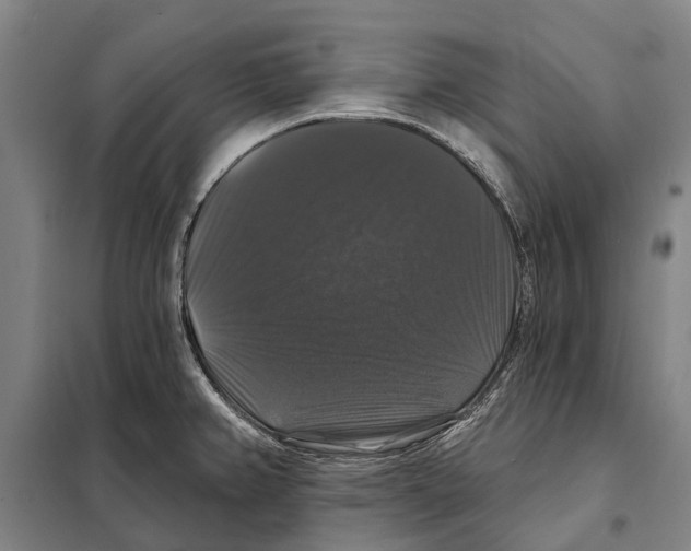 X0000097991382200804211052