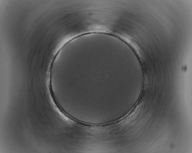 X0000097991383200804211052