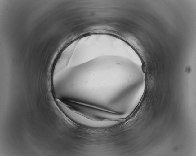 X0000097991384200804211052