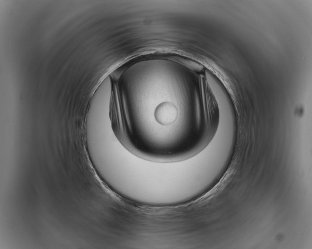 X0000097991385200804211052