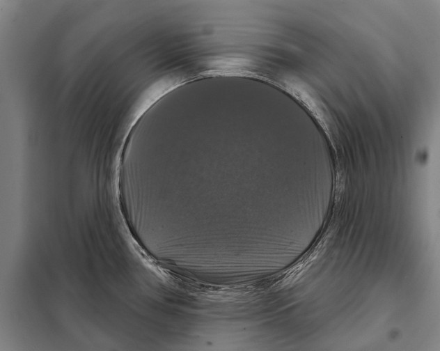 X0000097991386200804211052