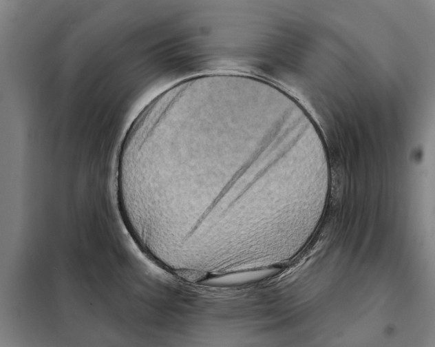 X0000097991387200804211052