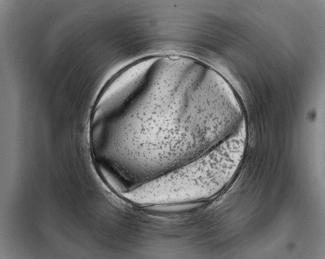 X0000097991388200804211052